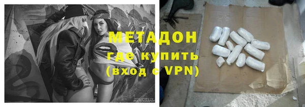 шишки Арсеньев