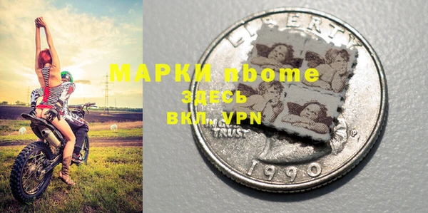 шишки Арсеньев