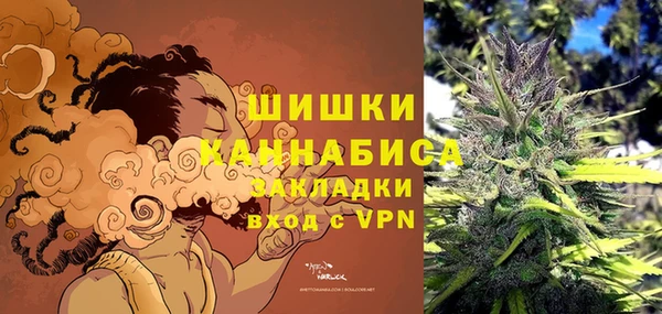шишки Арсеньев