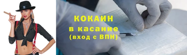 шишки Арсеньев