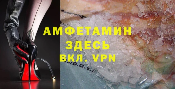 шишки Арсеньев