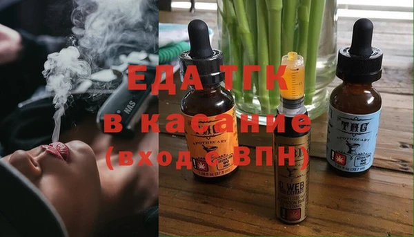 шишки Арсеньев