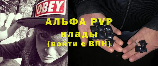 шишки Арсеньев